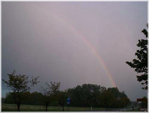 Der Tag des Regenbogens