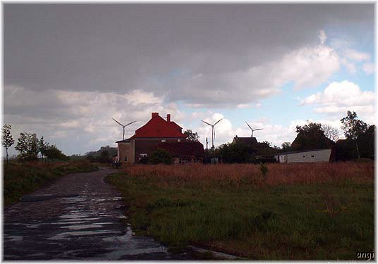 Nach dem Hagelschauer